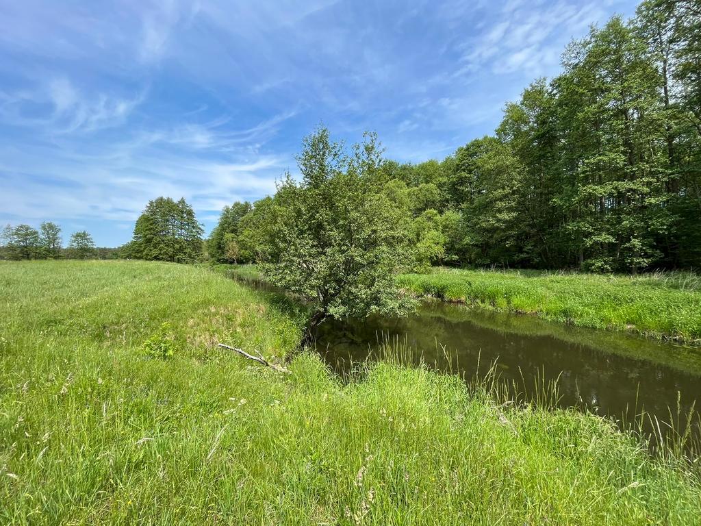 Działka na sprzedaż Żarowo 22 023 m2 | Arka Nieruchomości