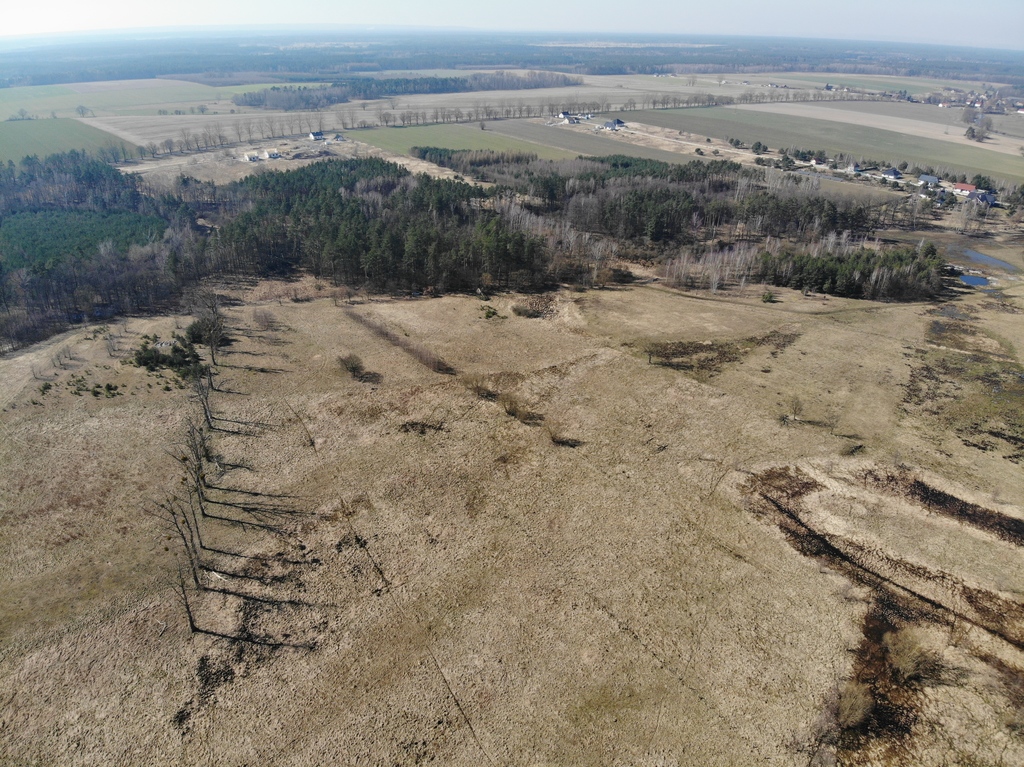 Działka na sprzedaż Żarowo 22 023 m2 | Arka Nieruchomości