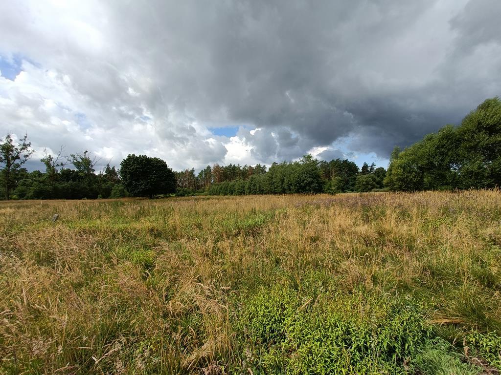 Działka na sprzedaż Żarowo 22 023 m2 | Arka Nieruchomości