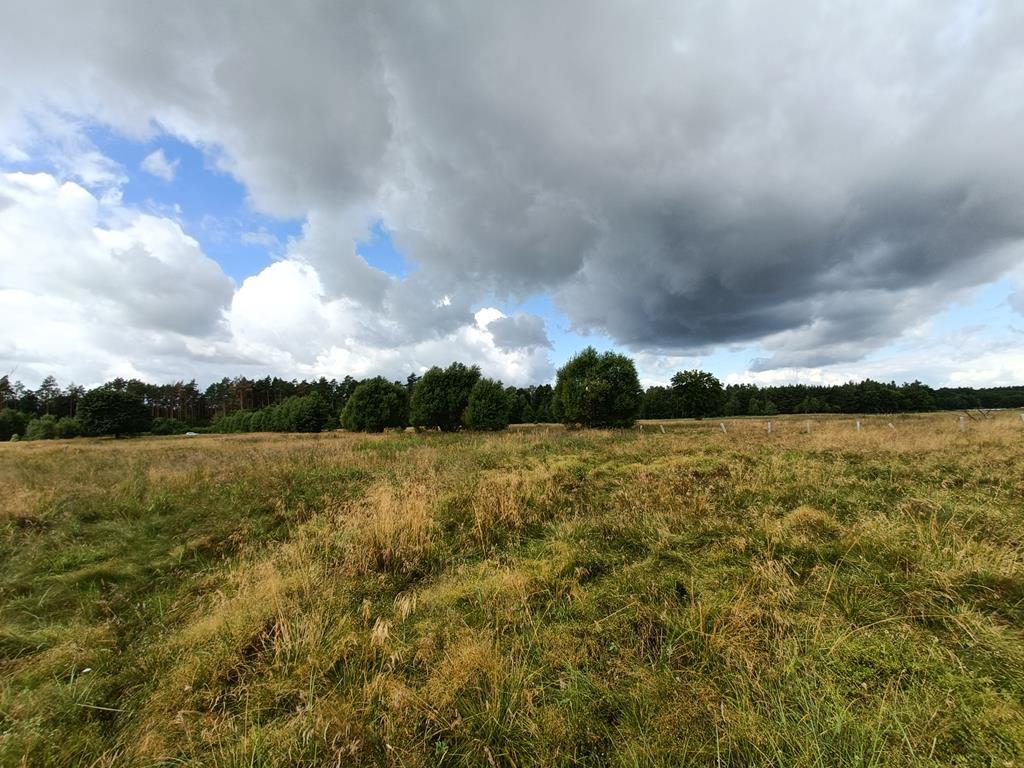 Działka na sprzedaż Żarowo 22 023 m2 | Arka Nieruchomości