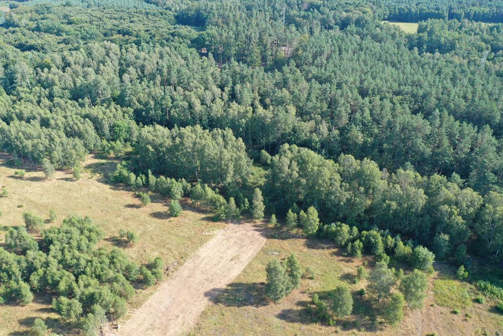 Działka na sprzedaż Krzywice 3 249 m2 | Arka Nieruchomości
