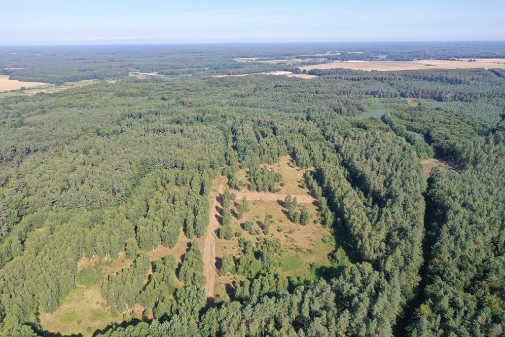 Działka na sprzedaż Krzywice 3 249 m2 | Arka Nieruchomości