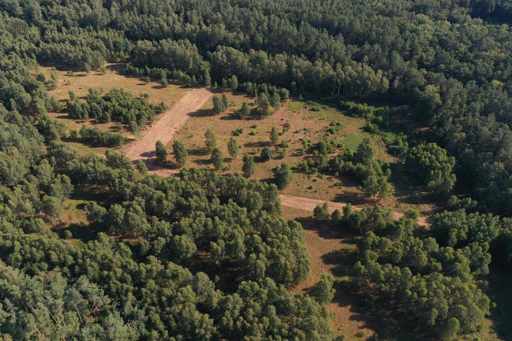 Działka na sprzedaż Krzywice 3 249 m2 | Arka Nieruchomości
