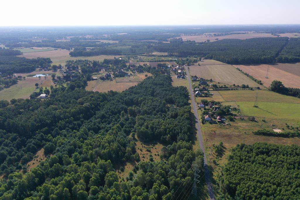Działka na sprzedaż Krzywice 3 249 m2 | Arka Nieruchomości