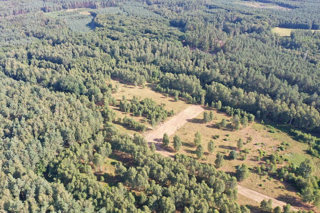 Działka na sprzedaż Krzywice 28 987 m2 | Arka Nieruchomości