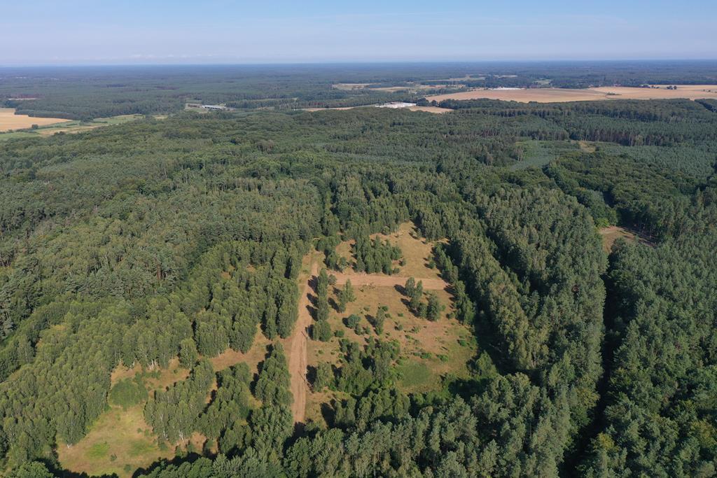 Działka na sprzedaż Krzywice 28 987 m2 | Arka Nieruchomości