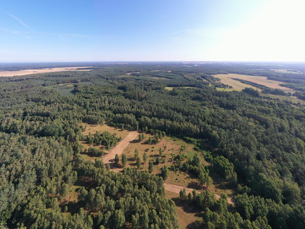 Działka na sprzedaż Krzywice 28 987 m2 | Arka Nieruchomości