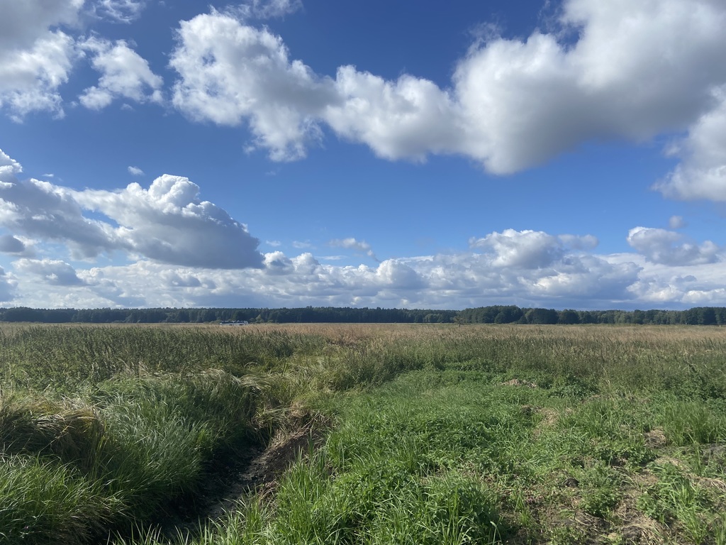 Działka na sprzedaż Dobra 1 161 m2 | Arka Nieruchomości