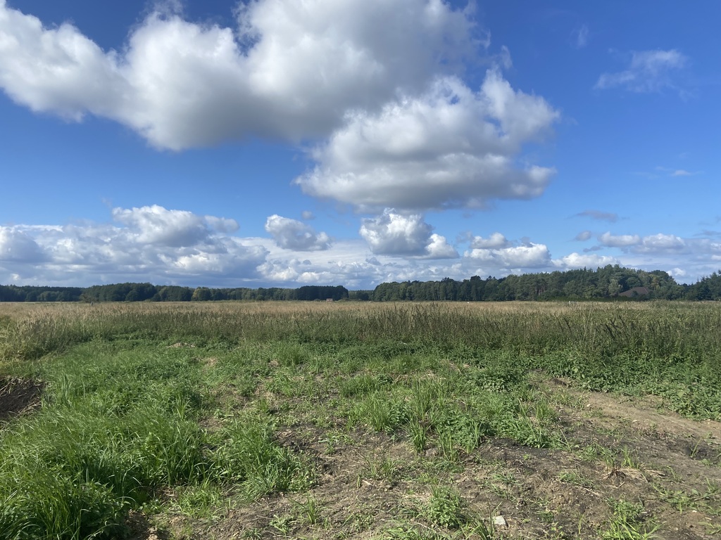 Działka na sprzedaż Dobra 1 161 m2 | Arka Nieruchomości