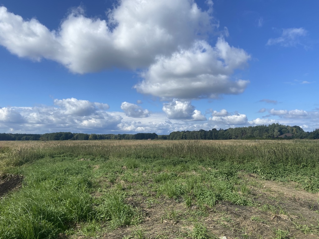 Działka na sprzedaż Dobra 1 161 m2 | Arka Nieruchomości