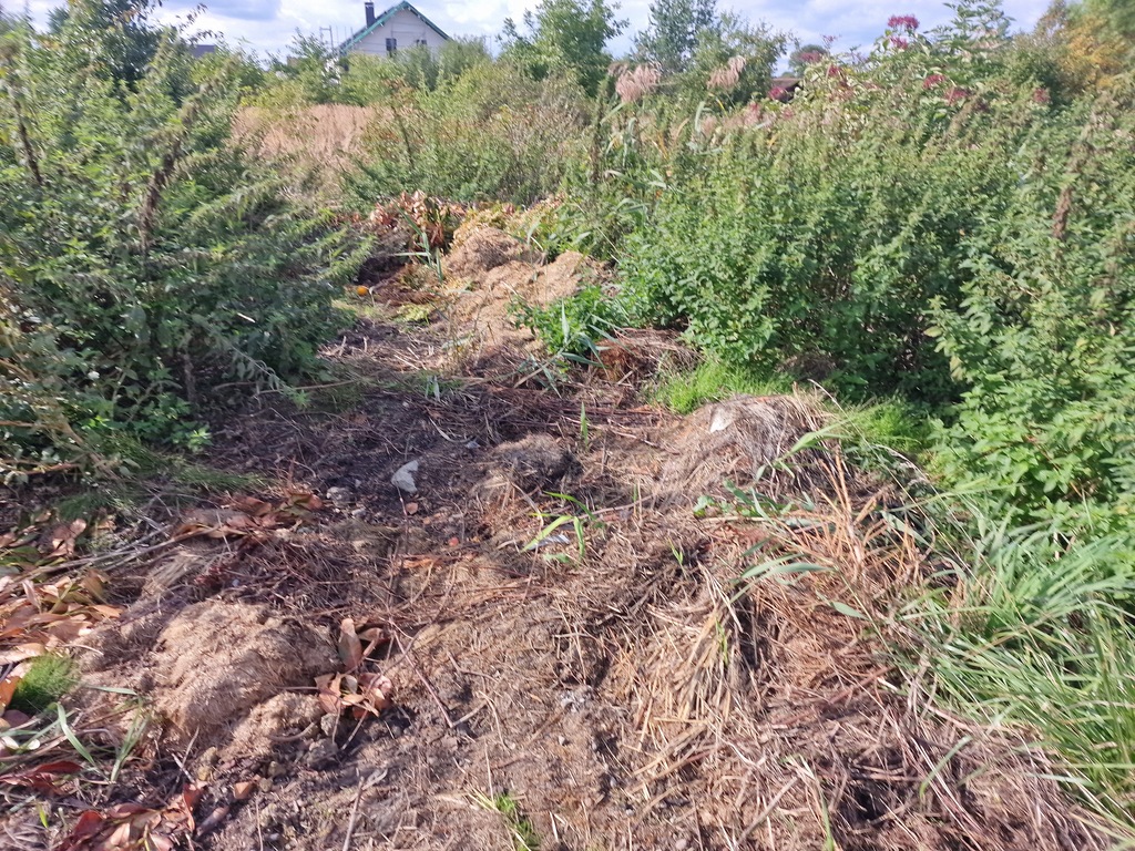 Działka na sprzedaż Wołczkowo 1 000 m2 | Arka Nieruchomości