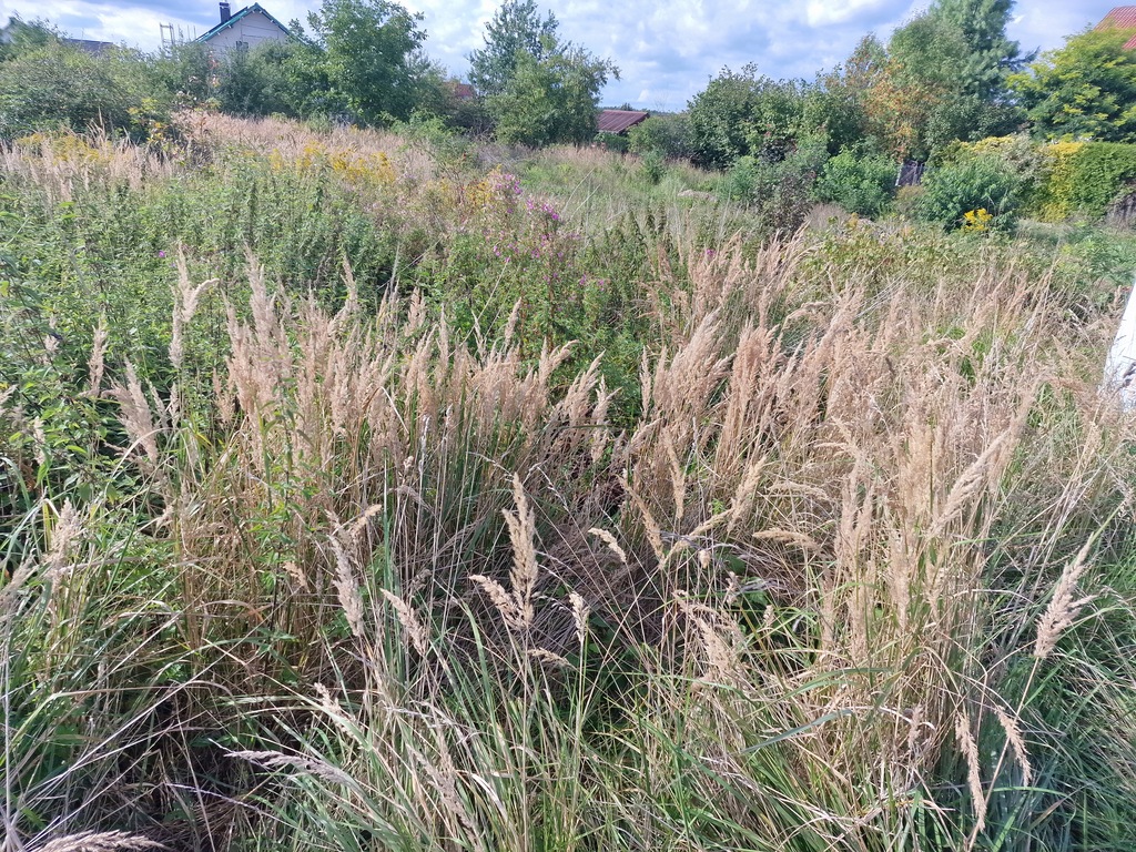 Działka na sprzedaż Wołczkowo 1 000 m2 | Arka Nieruchomości
