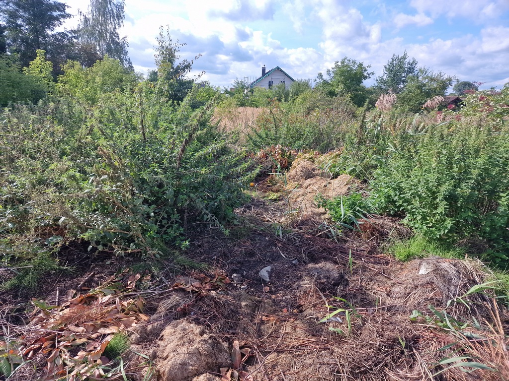 Działka na sprzedaż Wołczkowo 1 000 m2 | Arka Nieruchomości