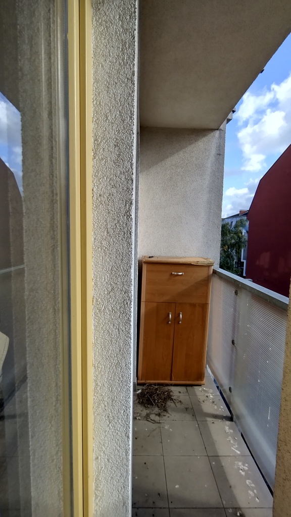 Mieszkanie na wynajem Szczecin, Centrum 40 m2 | Arka Nieruchomości