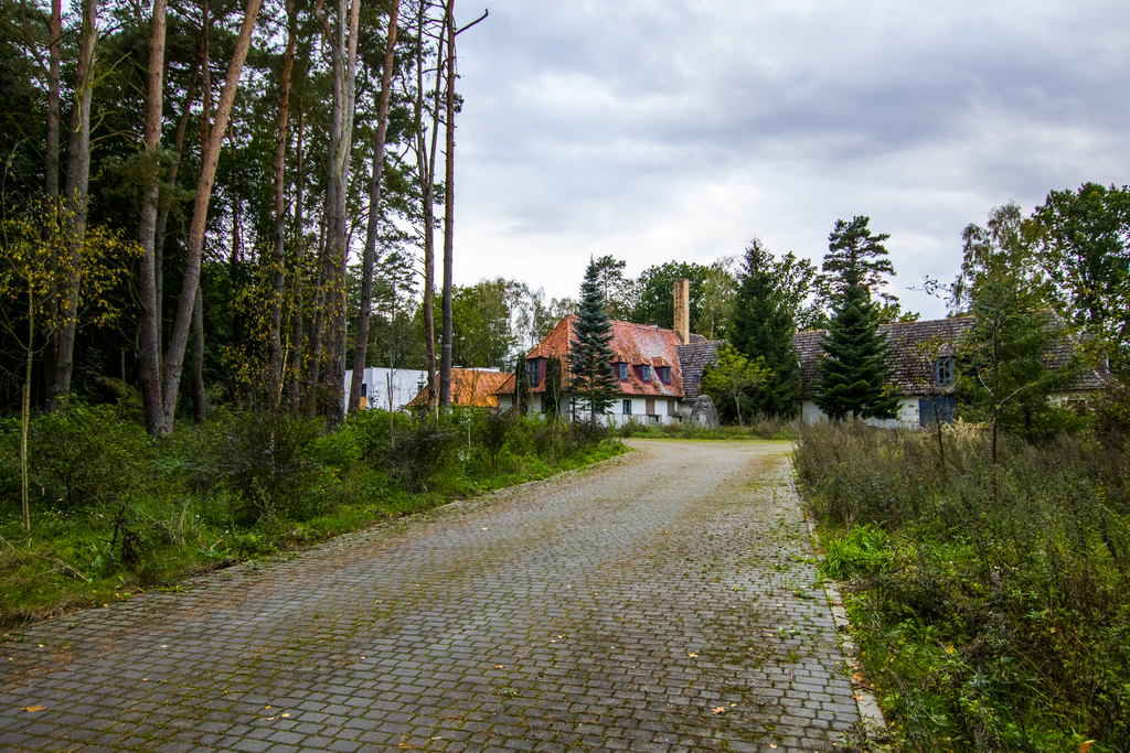 Obiekt na wynajem Trzeszczyn 433 m2 | Arka Nieruchomości