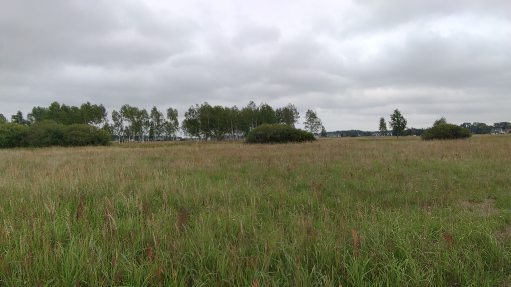 Działka na sprzedaż Niedźwiedź 1 489 m2 | Arka Nieruchomości