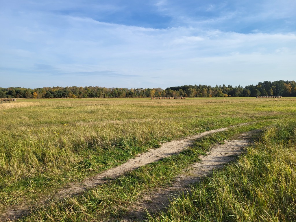 Działka na sprzedaż Białuń 1 001 m2 | Arka Nieruchomości