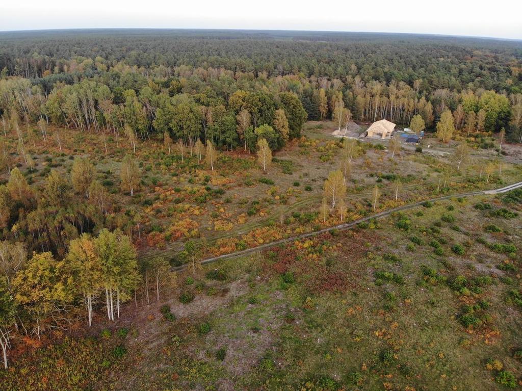 Działka na sprzedaż Krępsko 1 546 m2 | Arka Nieruchomości