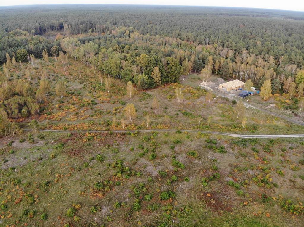 Działka na sprzedaż Krępsko 1 546 m2 | Arka Nieruchomości