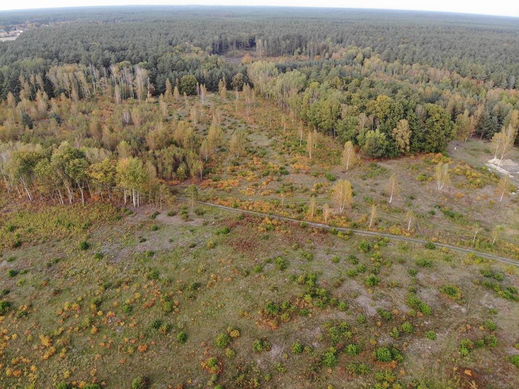 Działka na sprzedaż Krępsko 1 546 m2 | Arka Nieruchomości