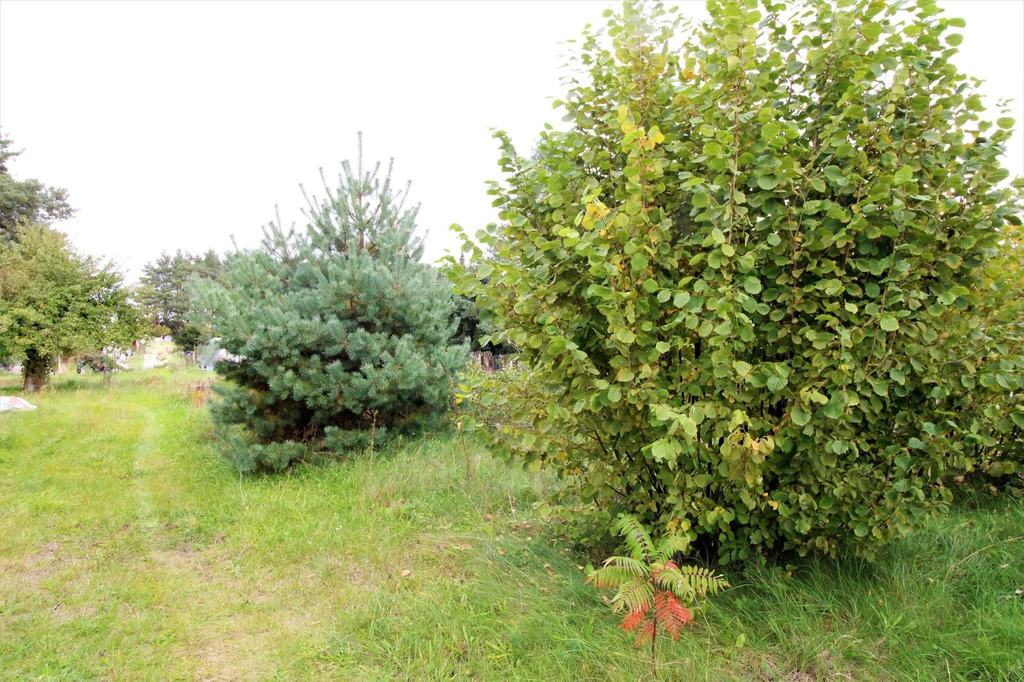 Piękna działka budowlana w atrakcyjnej lokalizacji bezpośrednio przy drodze – zdjęcie 3