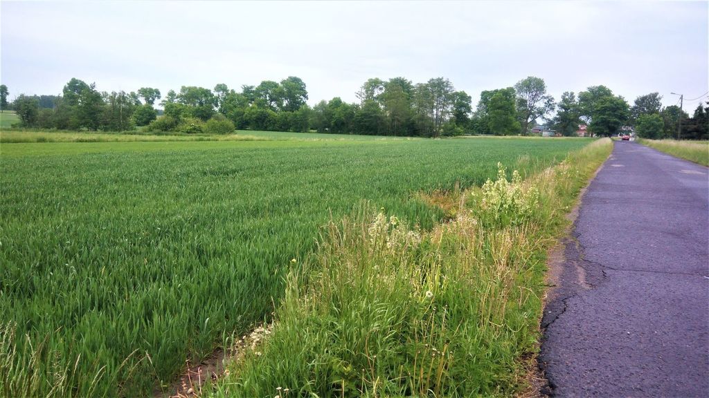 Użytki zielone łąka w wodzinie prywatnym – zdjęcie 3