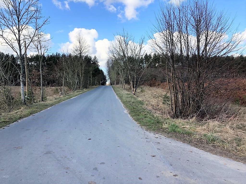 Działka na sprzedaż Sosnowice 2 800 m2 | Arka Nieruchomości