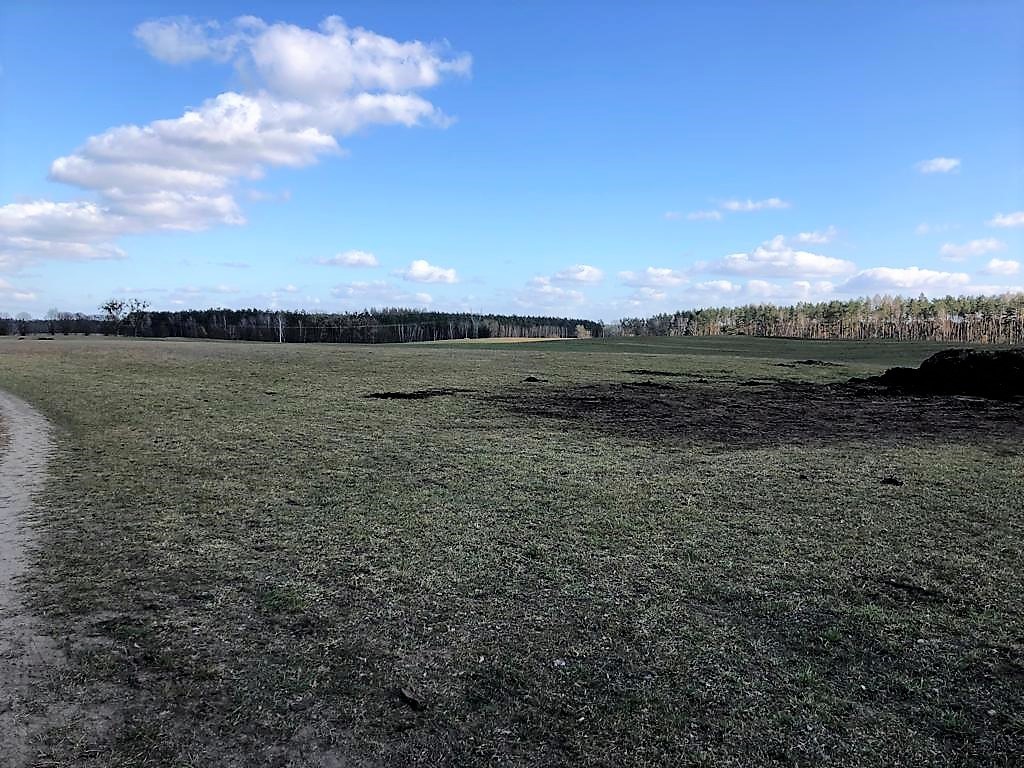 Działka na sprzedaż Sosnowice 2 800 m2 | Arka Nieruchomości