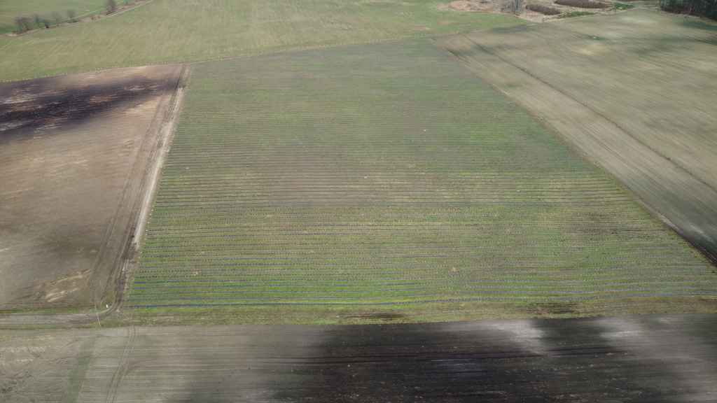 Działka na sprzedaż Chociwel 500 000 m2 | Arka Nieruchomości