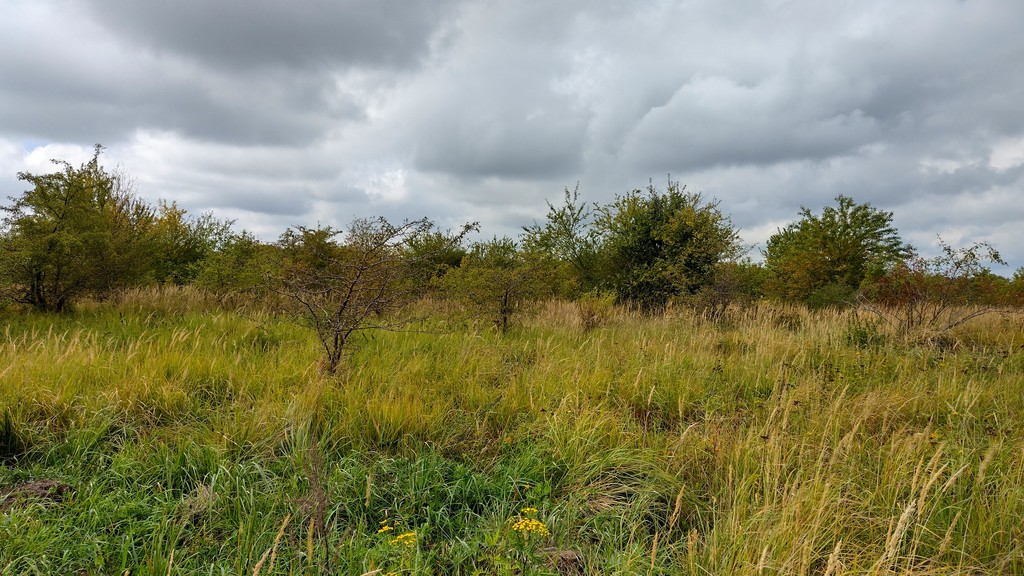 Działka na sprzedaż Kołowo 59 100 m2 | Arka Nieruchomości