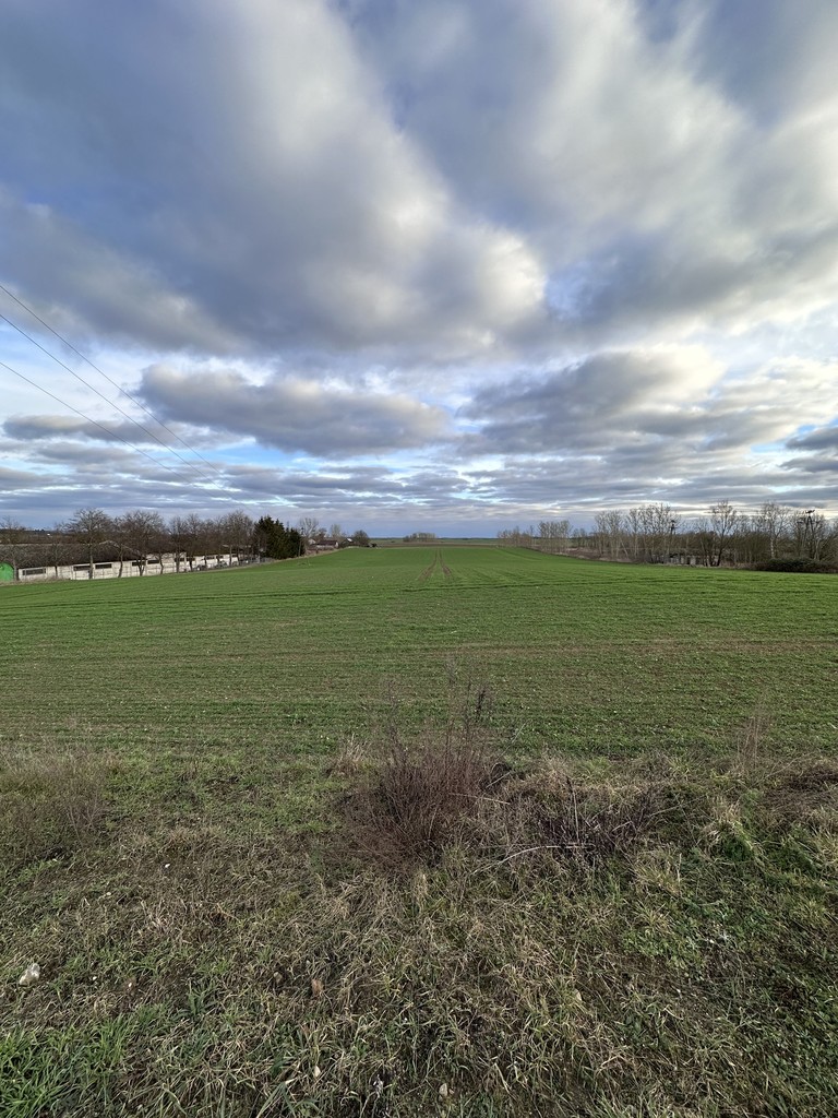 Działka na sprzedaż Kołbaskowo 44 900 m2 | Arka Nieruchomości