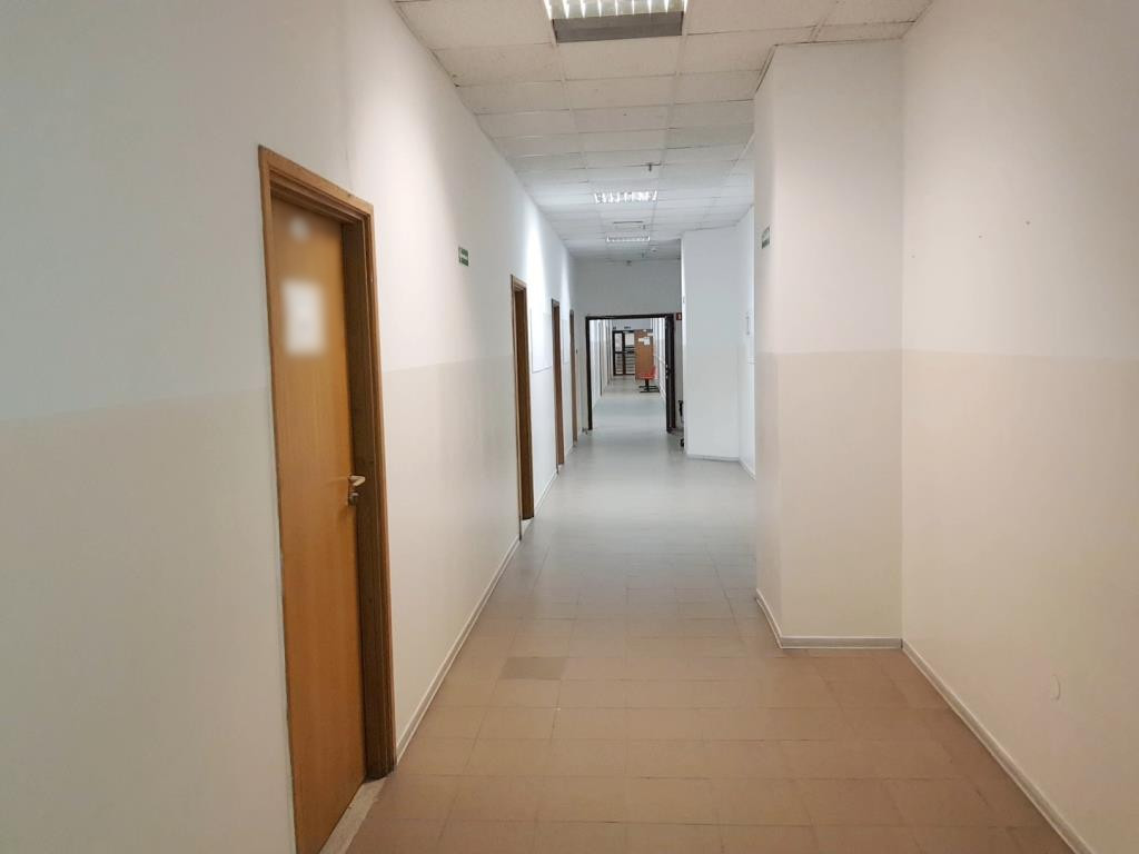 Lokal na wynajem Szczecin, Śródmieście 233 m2 | Arka Nieruchomości