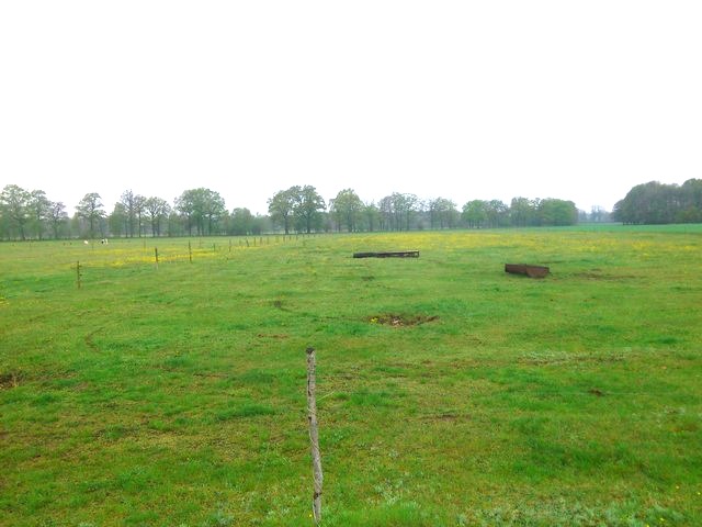 Działka na sprzedaż Rzędziny 3 145 m2 | Arka Nieruchomości