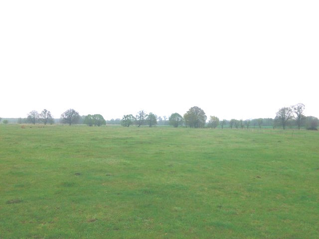 Działka na sprzedaż Rzędziny 3 145 m2 | Arka Nieruchomości