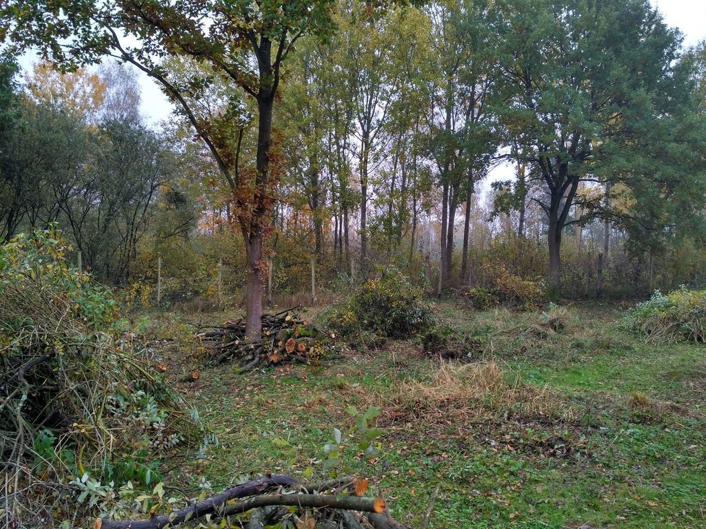 Działka na sprzedaż Grębowo 3 030 m2 | Arka Nieruchomości
