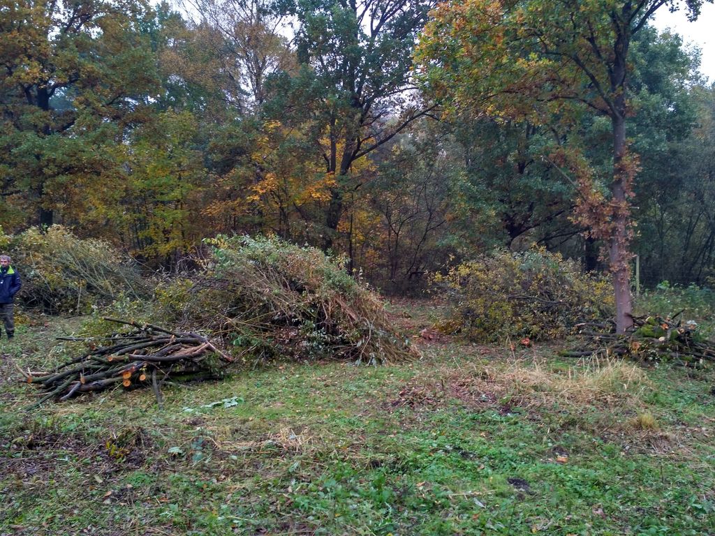 Działka na sprzedaż Grębowo 3 030 m2 | Arka Nieruchomości