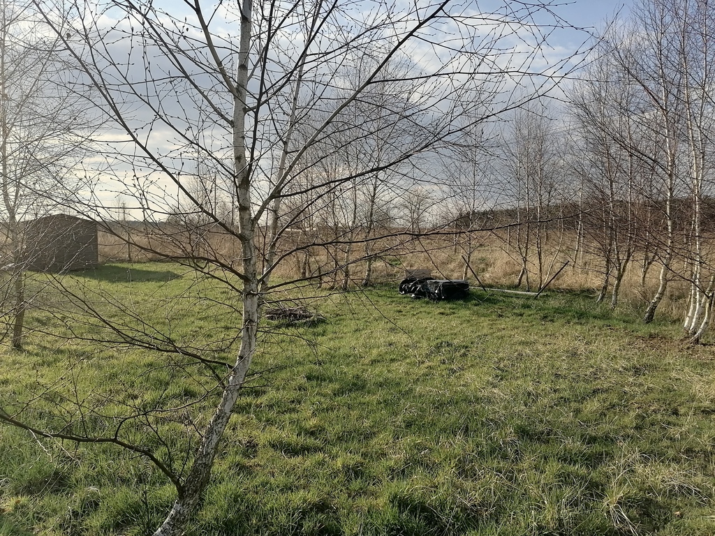 Działka na sprzedaż Wąwelnica 749 m2 | Arka Nieruchomości