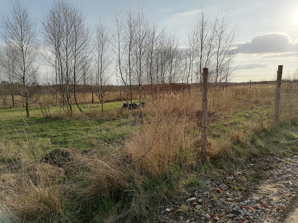 Działka na sprzedaż Wąwelnica 749 m2 | Arka Nieruchomości