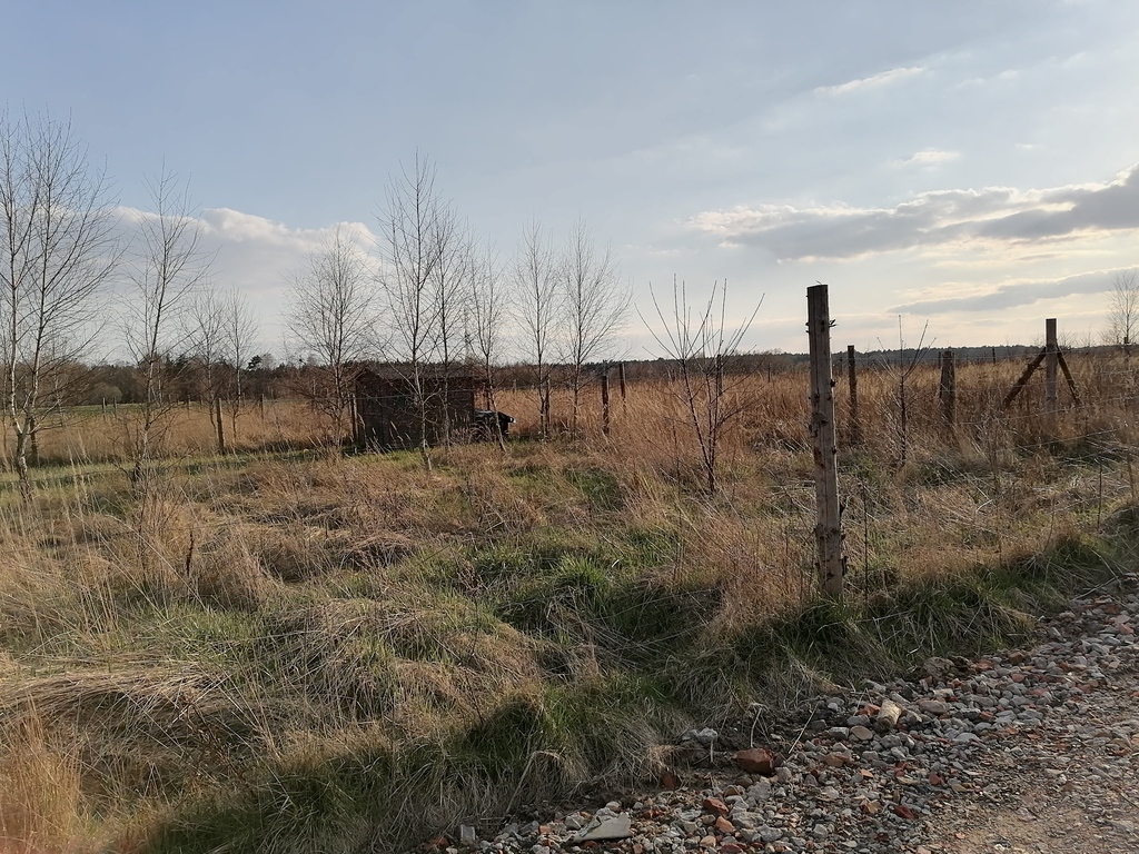 Działka na sprzedaż Wąwelnica 749 m2 | Arka Nieruchomości
