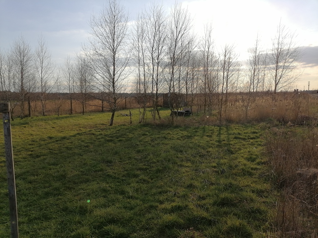 Działka na sprzedaż Wąwelnica 749 m2 | Arka Nieruchomości