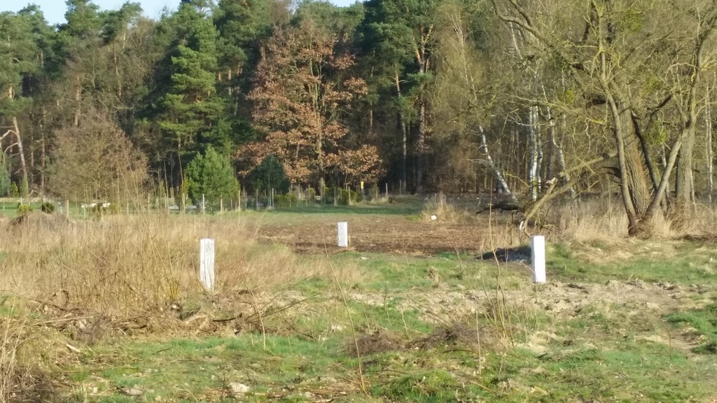 Działka na sprzedaż Kościno 1 535 m2 | Arka Nieruchomości