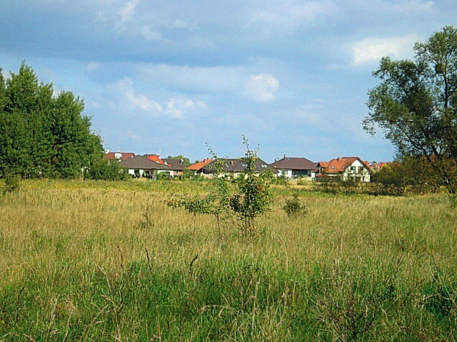 Działka na sprzedaż Kościno 1 535 m2 | Arka Nieruchomości