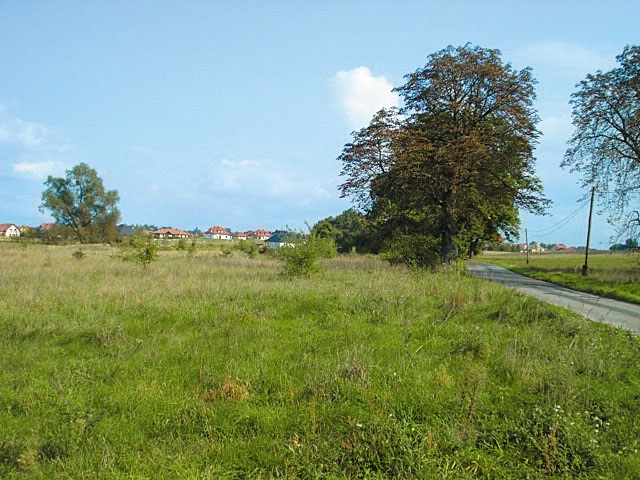 Działka na sprzedaż Kościno 1 535 m2 | Arka Nieruchomości