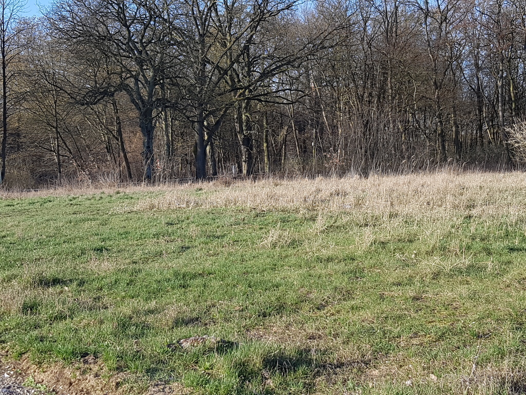 Działka na sprzedaż Kościno 1 535 m2 | Arka Nieruchomości