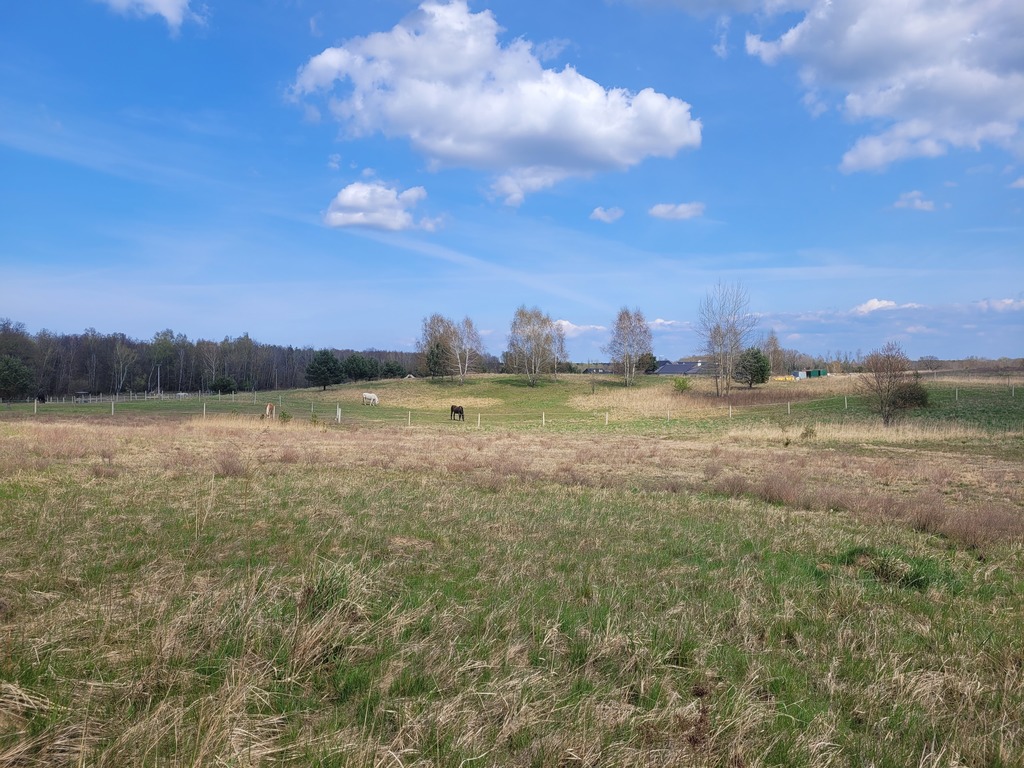 Działka na sprzedaż Dobra 6 000 m2 | Arka Nieruchomości