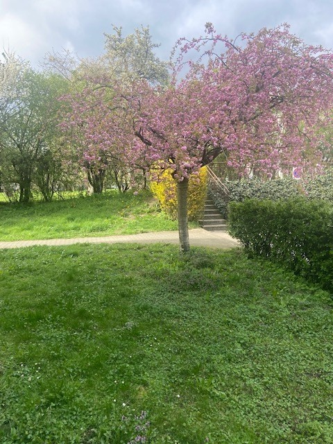 Mieszkanie na wynajem Szczecin, Warszewo 37 m2 | Arka Nieruchomości