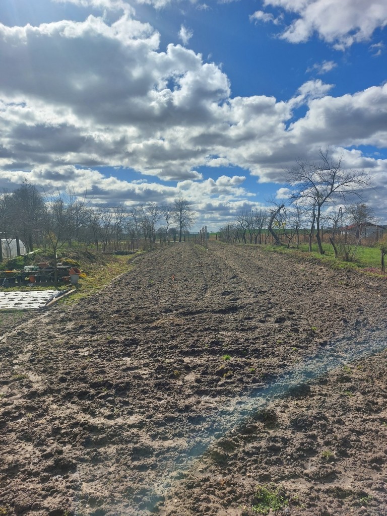 Mieszkanie na sprzedaż Suliszewo 70 m2 | Arka Nieruchomości
