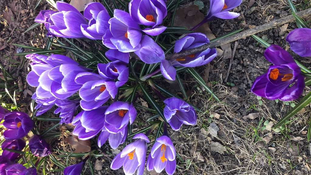 Działka na sprzedaż Szczecin, Bezrzecze 5 400 m2 | Arka Nieruchomości