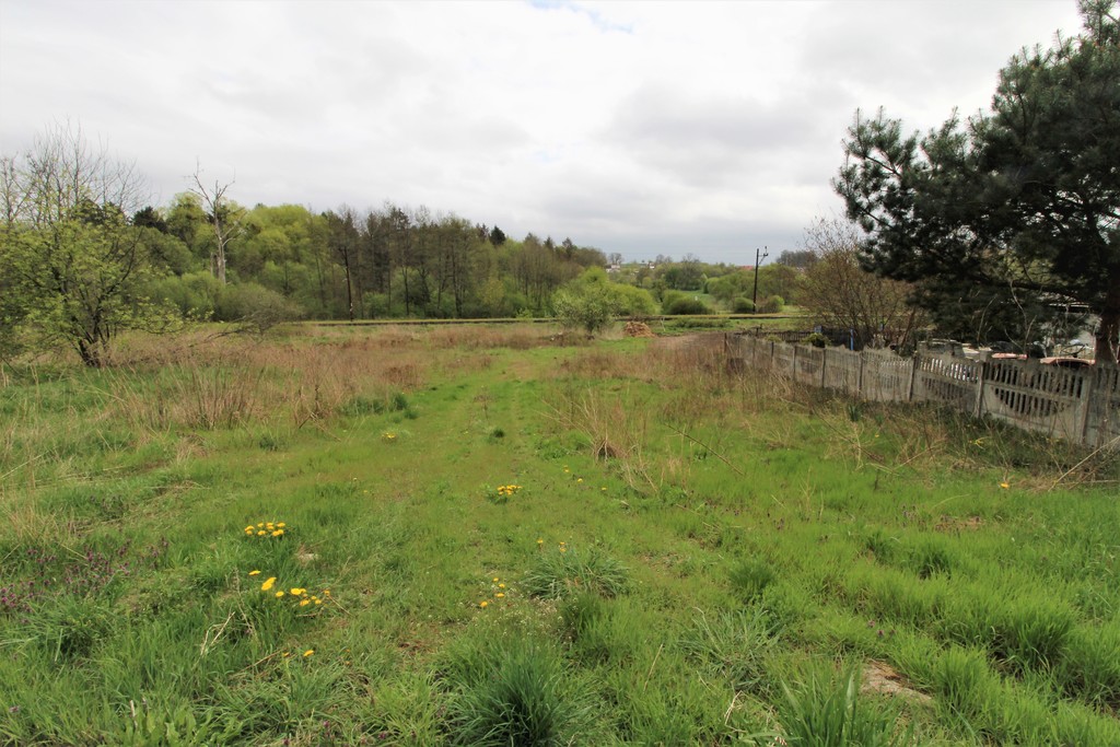 Działka na sprzedaż Kąkolewice 3 500 m2 | Arka Nieruchomości