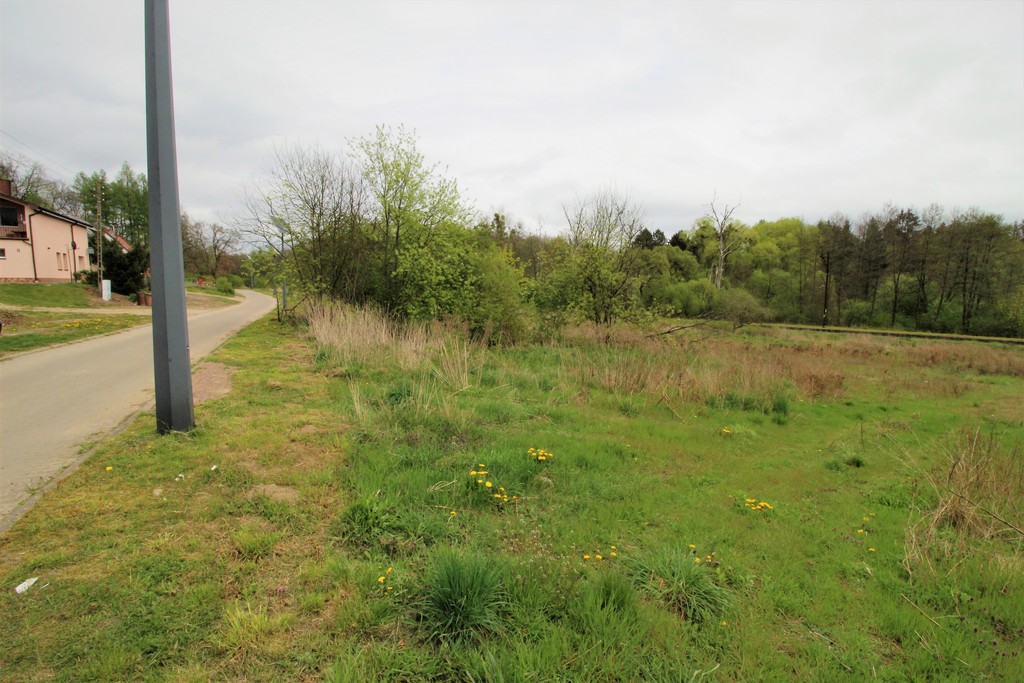 Działka na sprzedaż Kąkolewice 3 500 m2 | Arka Nieruchomości